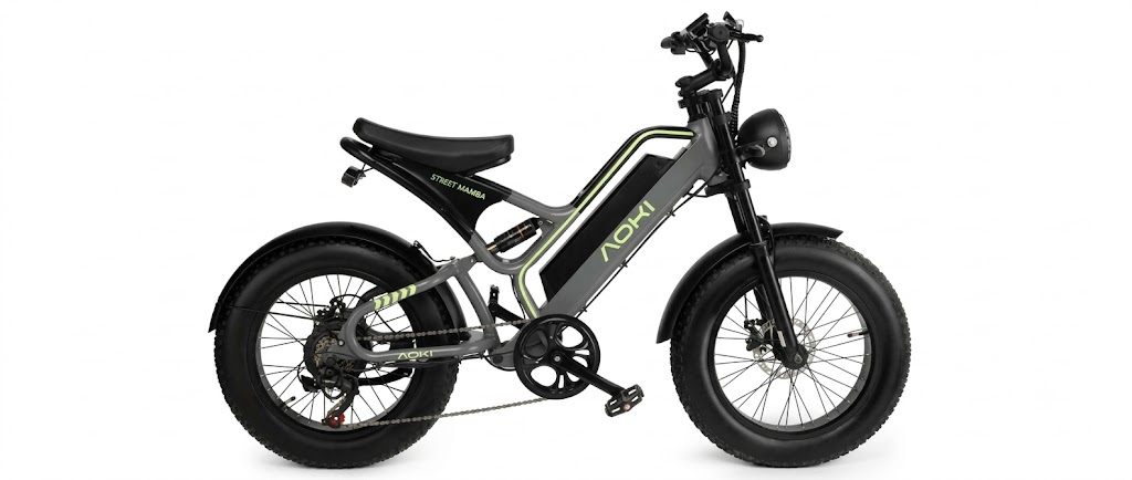 Electric bicycles in India: Aoki Street Mamba with long-range battery